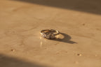 925 Silver Trilogy Ring with White Zircons – Adjustable Size | CM Silver Jewels