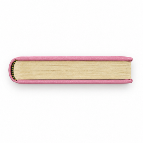 Album Nascita Brera Rosa con Scarpette e Ciuccio 15×20 cm | CM Silver Jewels
