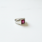 Anello Berlino sfondo bianco