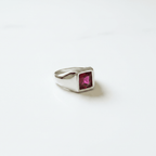 Anello Berlino sfondo bianco