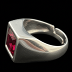 Anello Berlino macro