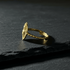 Angolo alternativo - Anello Ex Voto