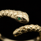 Detail — Testa serpente e occhi verdi