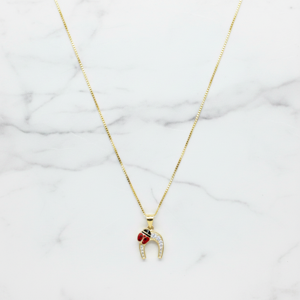 Scale Shot – Collana Ferro di Cavallo 45cm